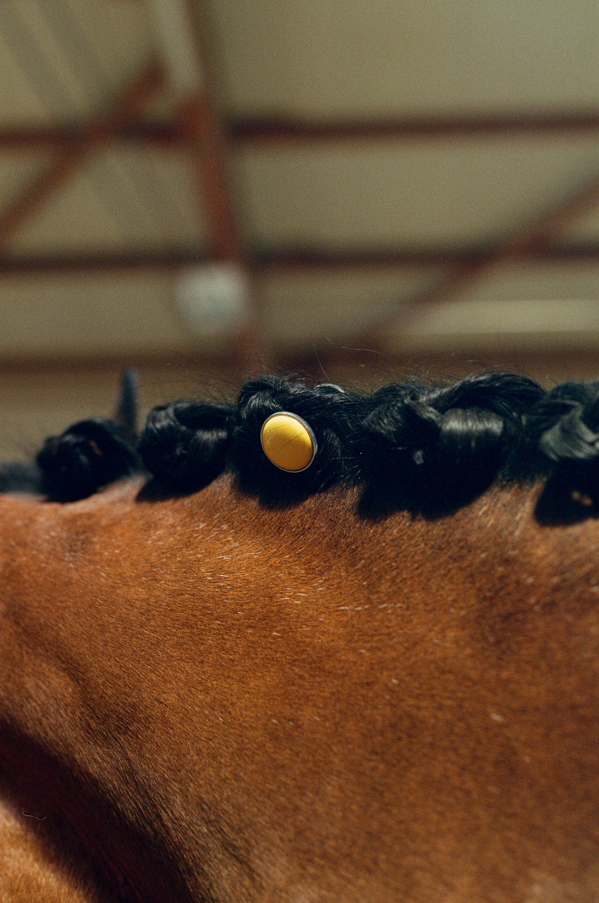 Copper Glow, fitted into a carefully braided mane